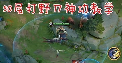 坑神爆料虞姬视频,虞姬视频中的精彩瞬间与幕后故事